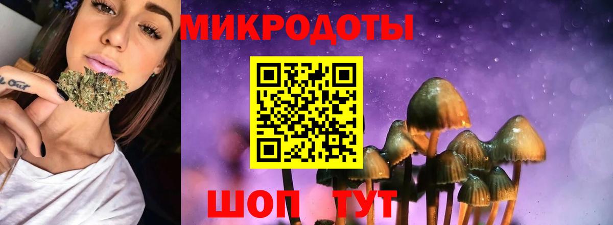 Галлюциногенные грибы MAGIC MUSHROOMS  Вход с VPN  Тара 
